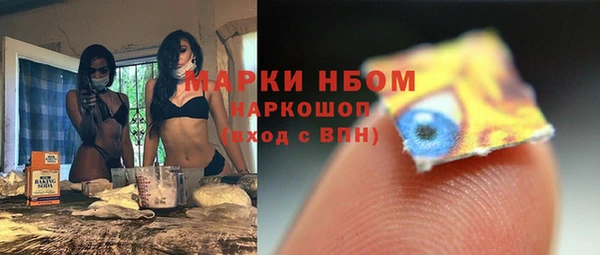 гашик Алексин