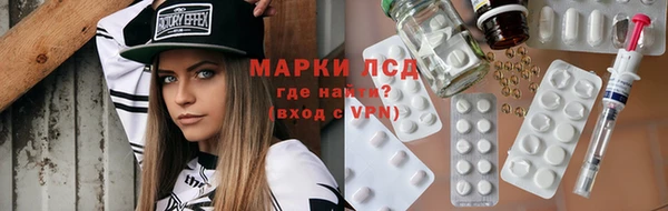 гашик Алексин