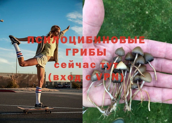 тгк Алзамай