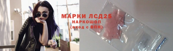 тгк Алзамай