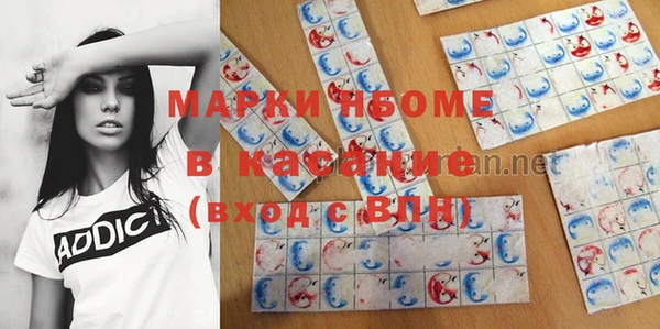 гашик Алексин