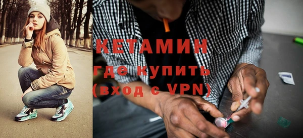 гашик Алексин