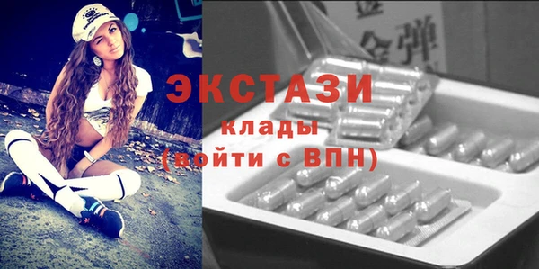 гашик Алексин