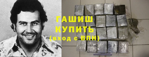 гашик Алексин