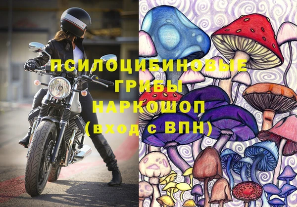 тгк Алзамай